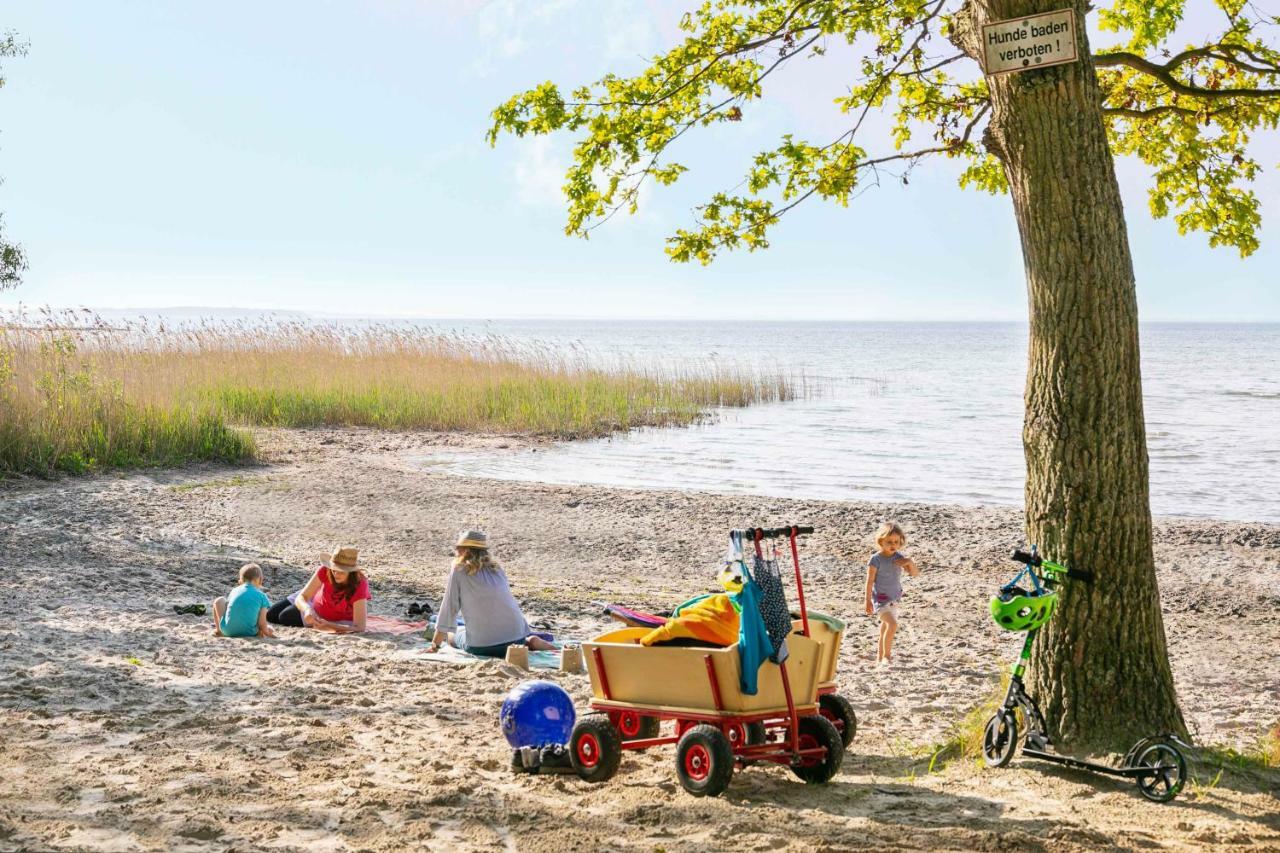 Mueritzparadies - Feriendorf Alte Fahrt Rechlin Esterno foto